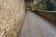 IMG-20191218-WA0177