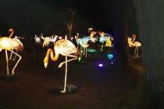 IMG-20191219-WA0016