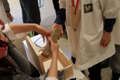 IMG-20190409-WA0063