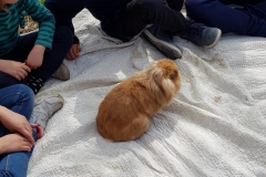 IMG-20190409-WA0112