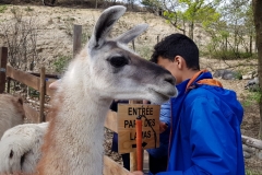 IMG-20190409-WA0114