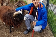 IMG-20190409-WA0118