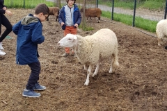 IMG-20190409-WA0119