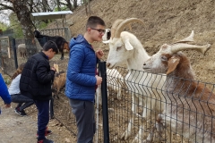 IMG-20190409-WA0121