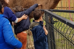 IMG-20190409-WA0128