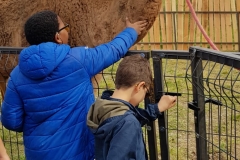 IMG-20190409-WA0131