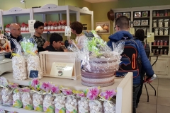 IMG-20190410-WA0005