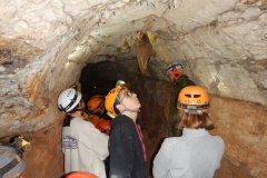 DSCN0278