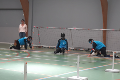 TOREBALL2