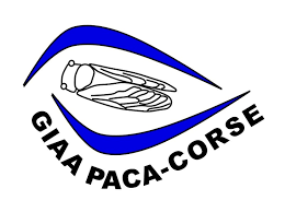 GIAA PACA CORSE (Groupement des Intellectuels Aveugles ou Amblyopes)