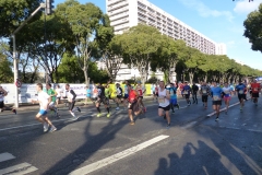 P1020660