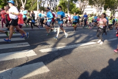 P1020779