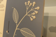 P1020624